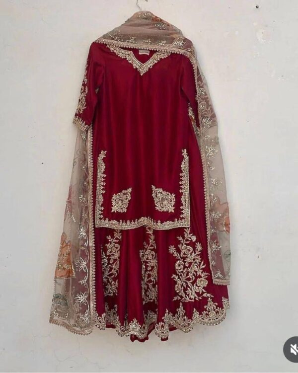 SUIT WITH FULL FLAIR WORK GHARARA - Image 3