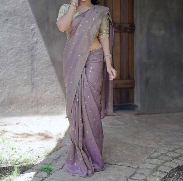Designer Saree on Havy Twill Net Febric with Fancy Blouse