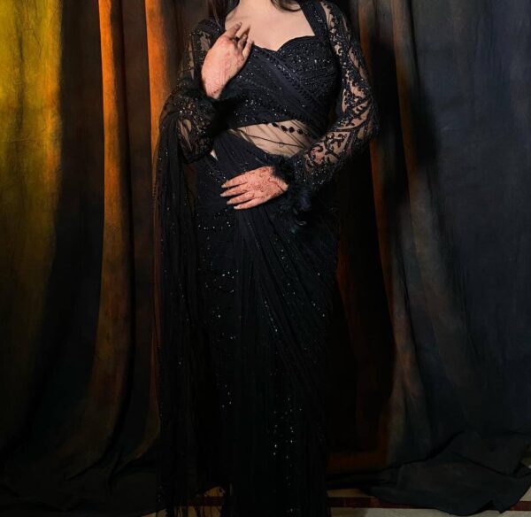 Saree  and blouse on Soft Net Febric with Thred & Sequnce work.