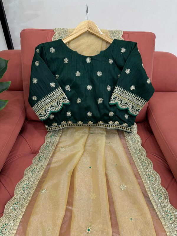 Saree  and blouse  with Coding & Sequnce work. - Image 3