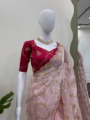 Saree on Zimmy Chu Febric and Blouse