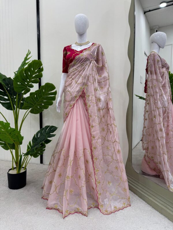 Saree on Zimmy Chu Febric and Blouse