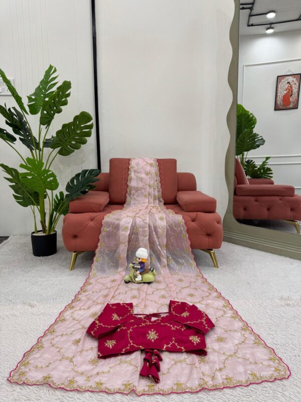 Saree on Zimmy Chu Febric and Blouse - Image 3