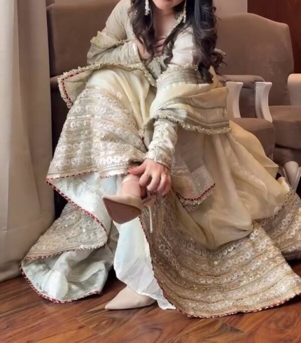 New Designer Gown Pant With Fancy dupatta - Image 2